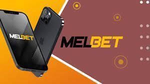Cricket betting tips for success at Melbet